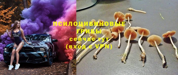 ECSTASY Горнозаводск