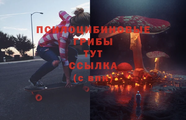 ECSTASY Горнозаводск