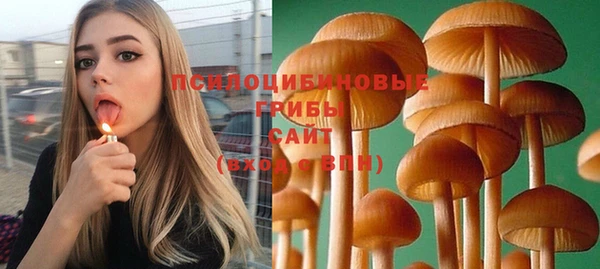 кристаллы Горняк