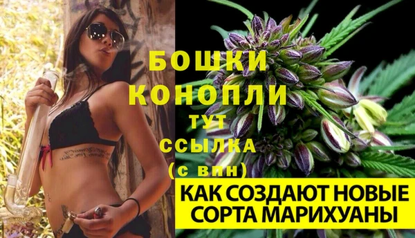 ECSTASY Горнозаводск