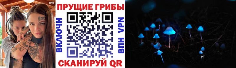 Псилоцибиновые грибы MAGIC MUSHROOMS  купить  сайты  Волжский 