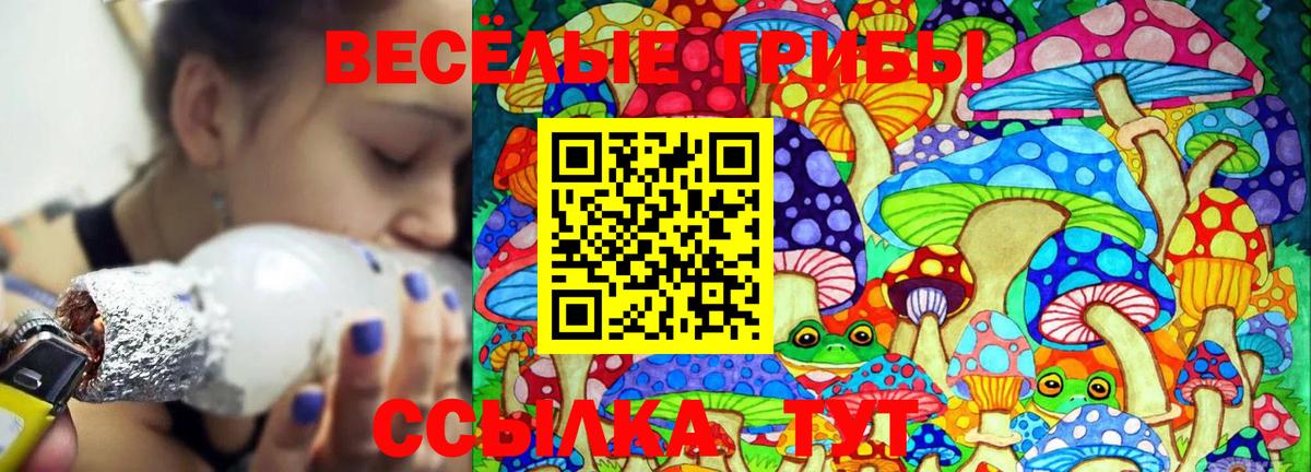 Псилоцибиновые грибы мицелий Волжский