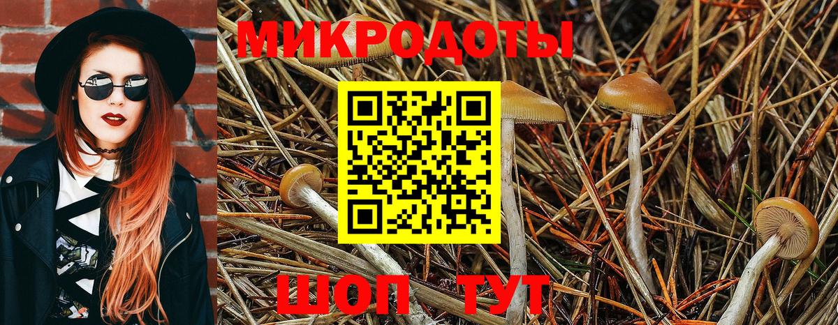 Галлюциногенные грибы прущие грибы Волжский