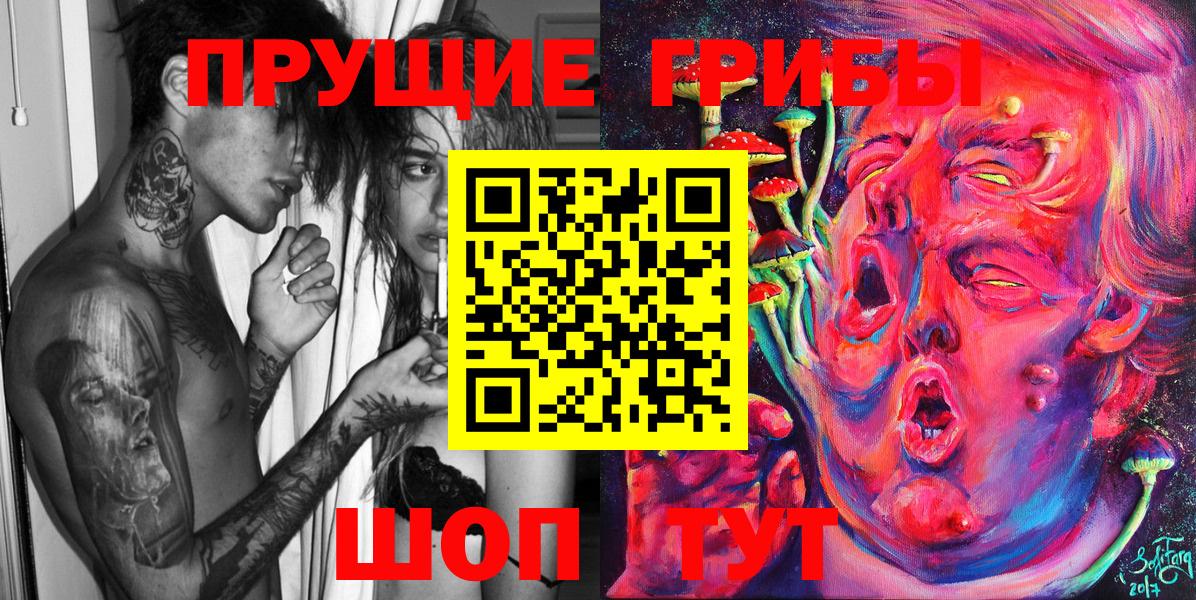 Волжский  Галлюциногенные грибы Cubensis  как найти   Вход с VPN 